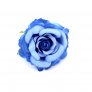 Rose, Light Blue