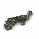 Peacock Brooch, Turquoise